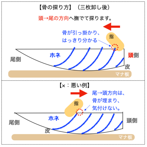 【解説図】骨の探り方