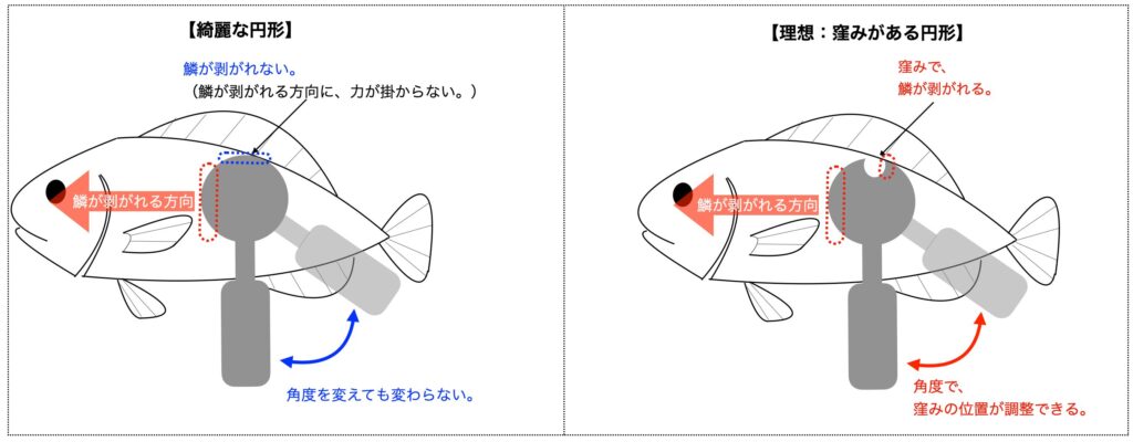 【解説図】円形型ウロコ取りの窪みの必要性