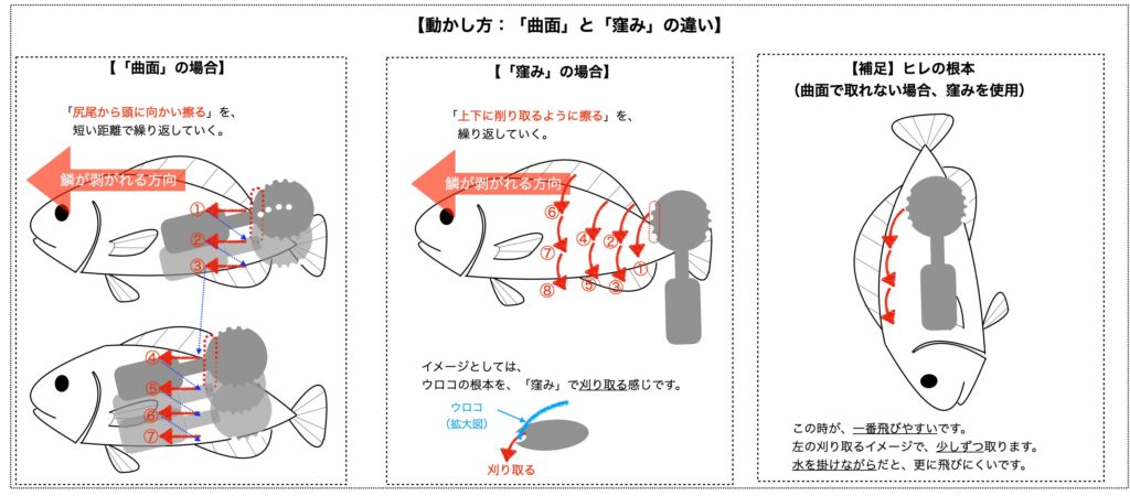 【解説図】板型ウロコ取りの動かし方（曲面と窪みの違い）