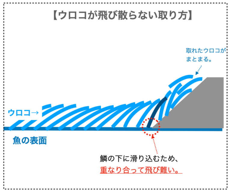 飛び散らないウロコ取りの方法4選(台所をキレイに使う方法も解説) | のびるら釣りブログ