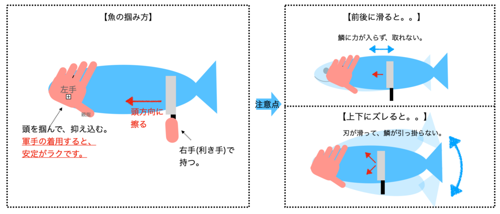 【解説図】魚の掴み方