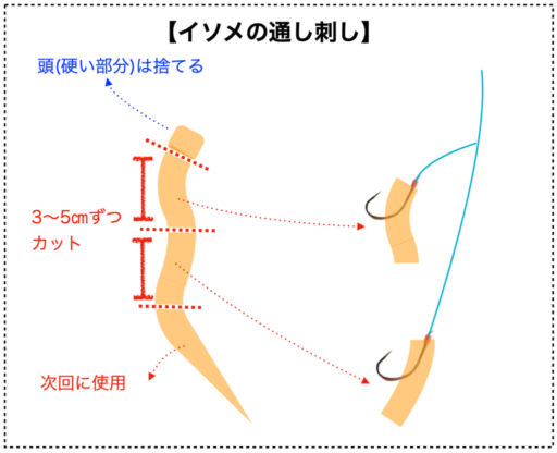 【図解】イソメの通し刺し