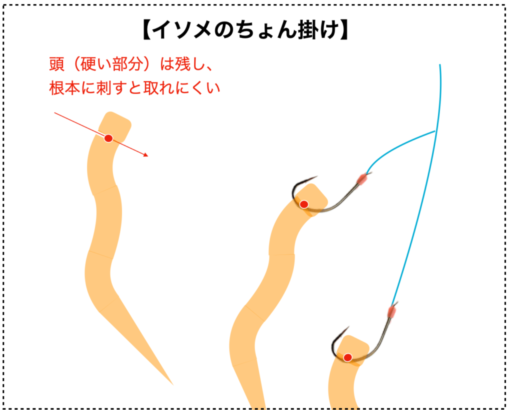 【図解】イソメのちょん掛け