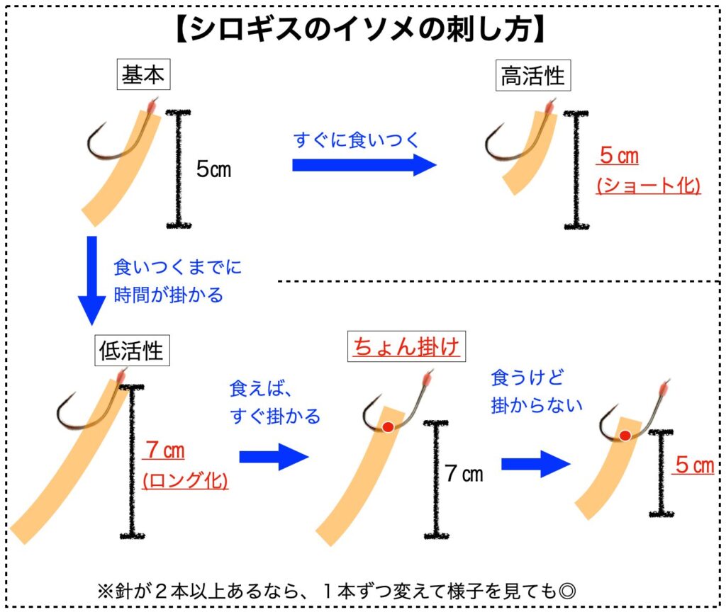 【解説図】シロギスのイソメの刺し方